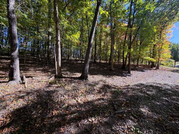 Tract 8 - Easterday Woods property photo