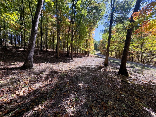 Tract 8 - Easterday Woods property photo