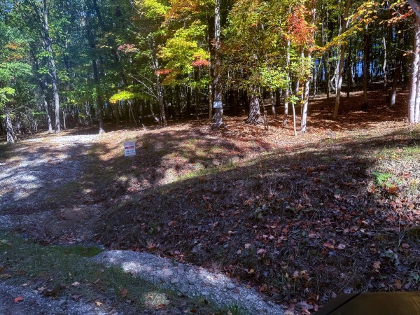 More of Tract 8 - Easterday Woods