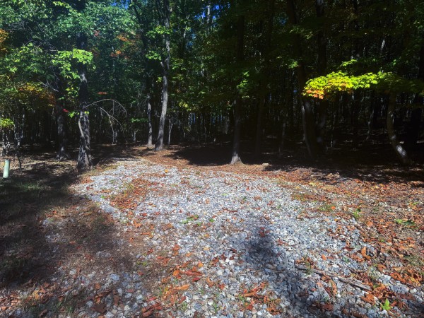 More of Tract 8 - Easterday Woods