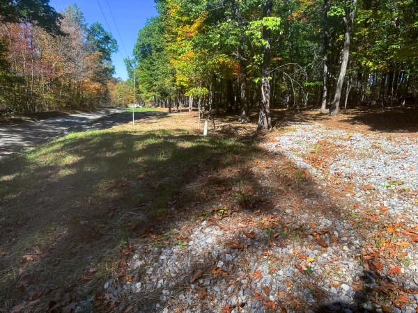 Tract 8 - Easterday Woods property photo