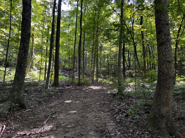 Tract 2 - The Woods at Titus property photo