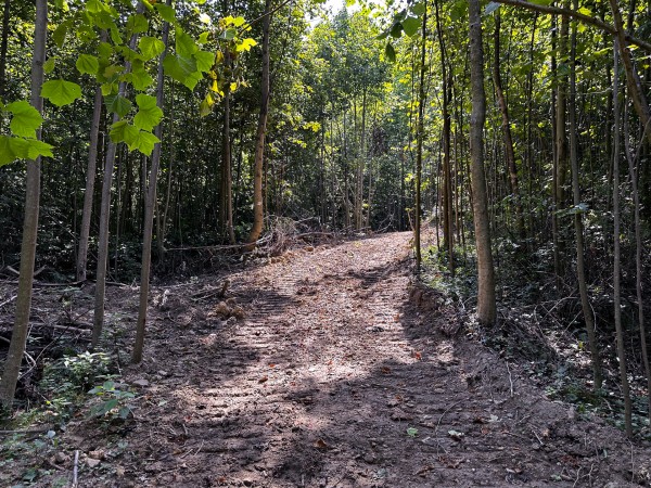 Tract 2 - The Woods at Titus property photo