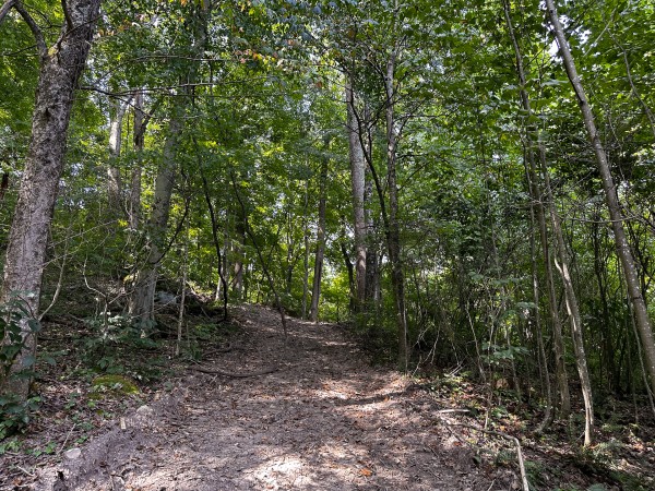 Tract 2 - The Woods at Titus property photo