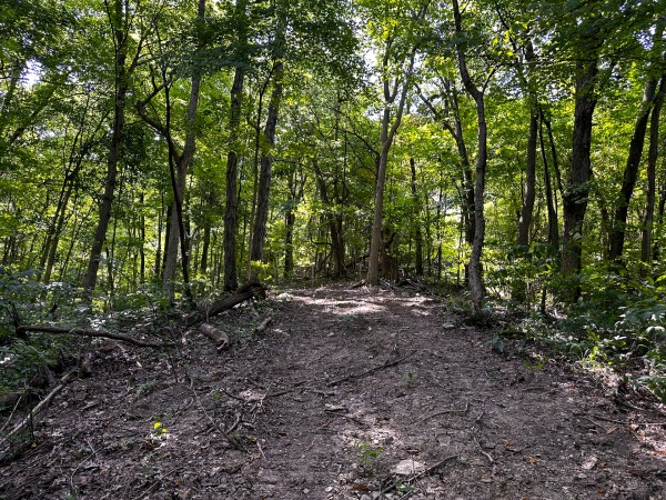 Tract 2 - The Woods at Titus property photo