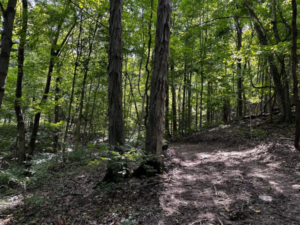 Tract 2 - The Woods at Titus property photo