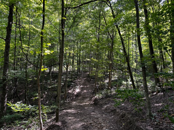 Tract 2 - The Woods at Titus property photo