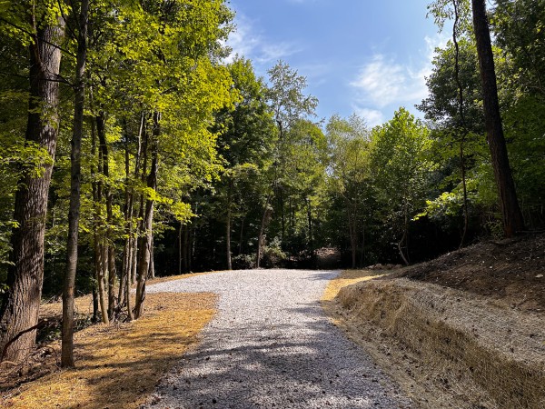 More of Tract 2 - The Woods at Titus