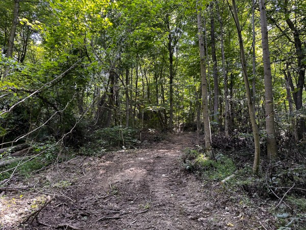 Tract 2 - The Woods at Titus property photo
