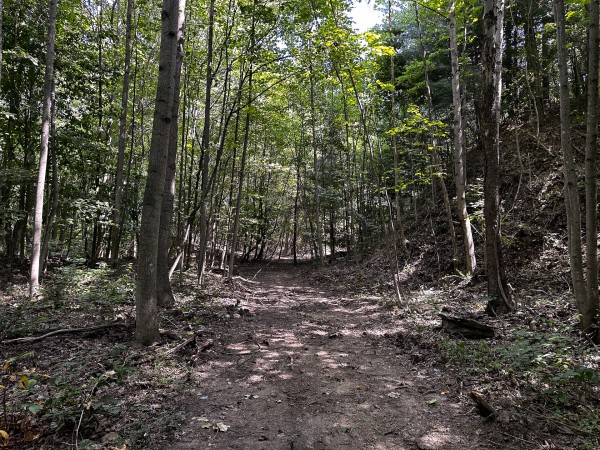 Tract 2 - The Woods at Titus property photo