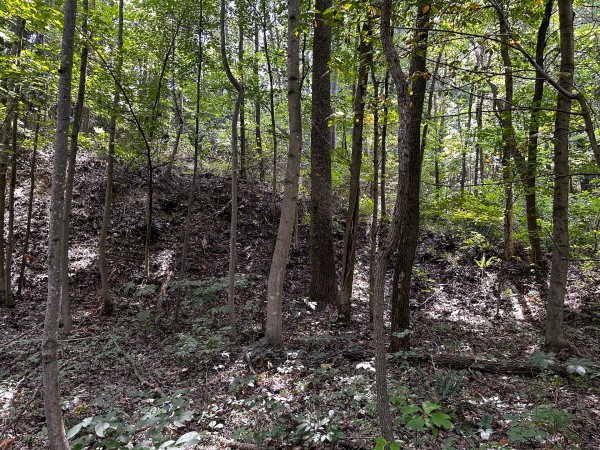Tract 2 - The Woods at Titus property photo