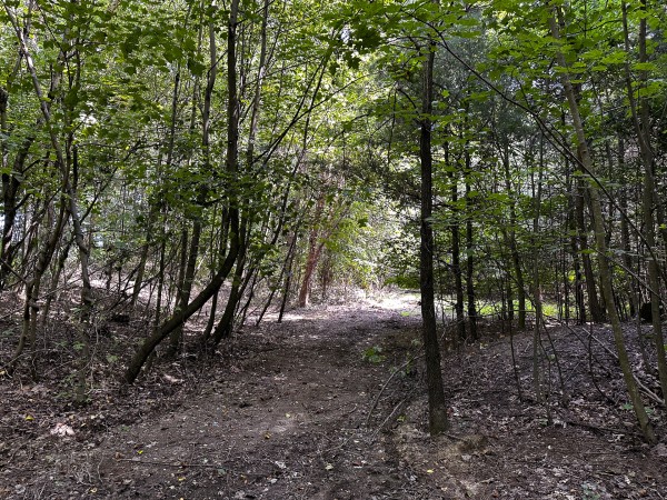 Tract 2 - The Woods at Titus property photo
