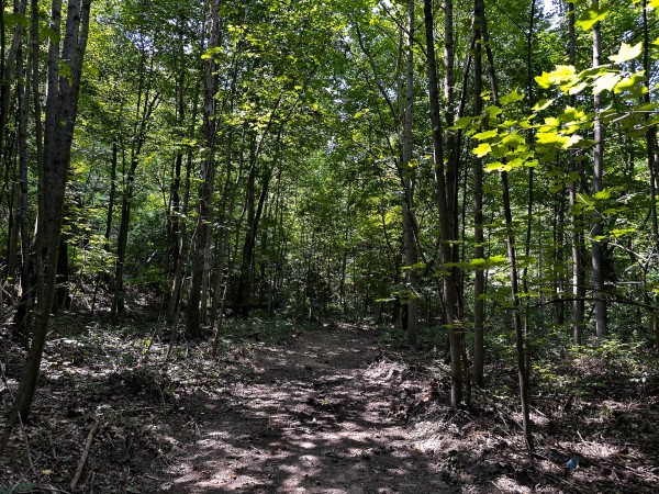 Tract 2 - The Woods at Titus property photo