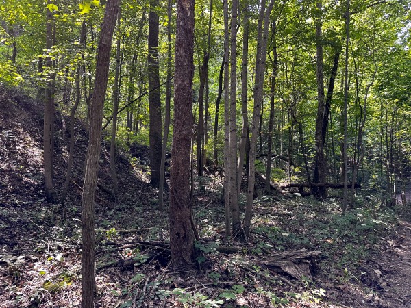 Tract 2 - The Woods at Titus property photo