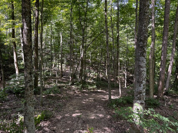 Tract 2 - The Woods at Titus property photo