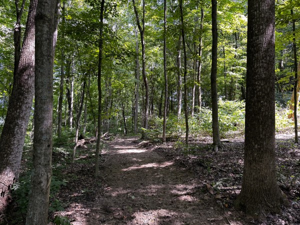 Tract 2 - The Woods at Titus property photo