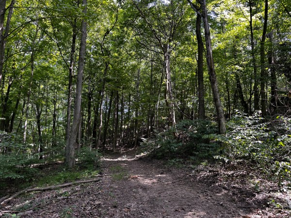 Tract 2 - The Woods at Titus property photo