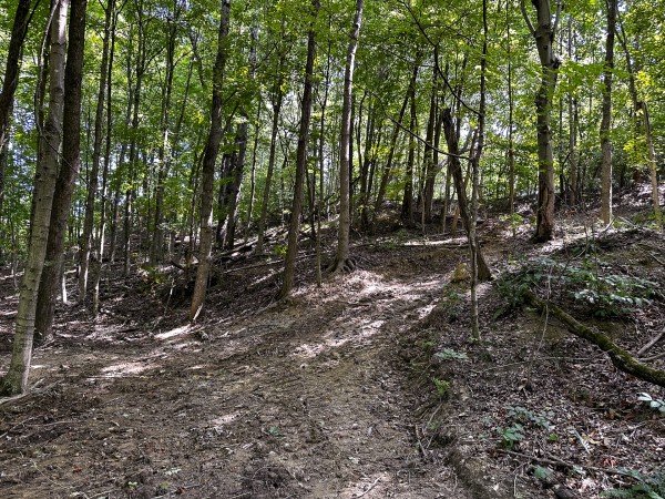 Tract 2 - The Woods at Titus property photo