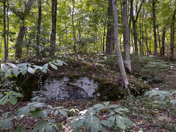 Tract 2 - The Woods at Titus property photo