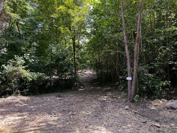 More of Tract 2 - The Woods at Titus