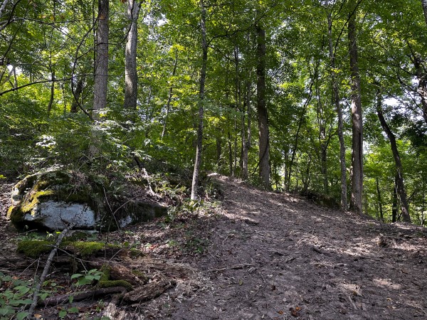 Tract 2 - The Woods at Titus property photo