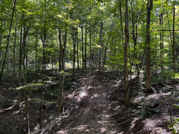 Tract 2 - The Woods at Titus property photo
