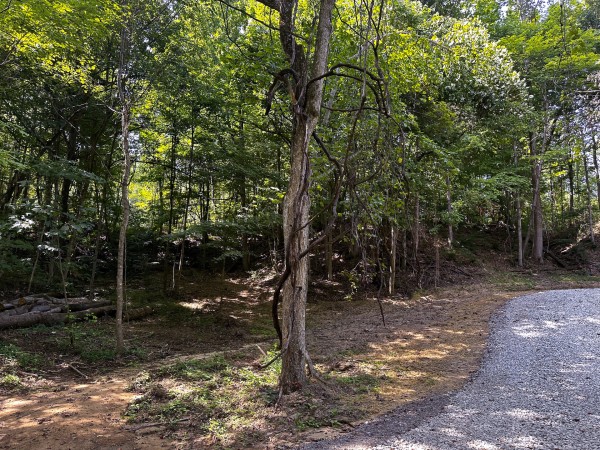 Tract 10 at The Woods at Titus property photo
