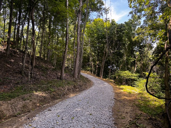 Tract 10 at The Woods at Titus property photo