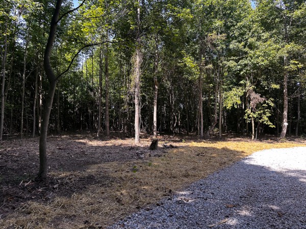 Tract 10 at The Woods at Titus property photo