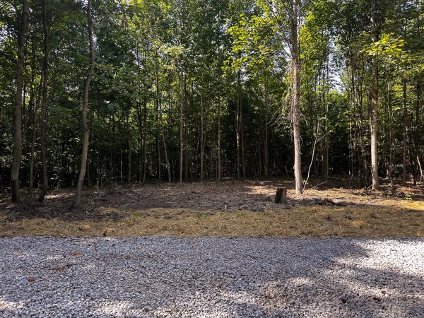 Tract 10 at The Woods at Titus property photo