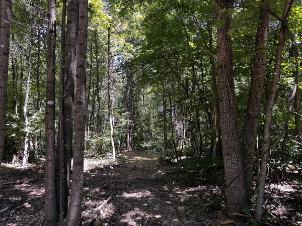Tract 10 at The Woods at Titus property photo