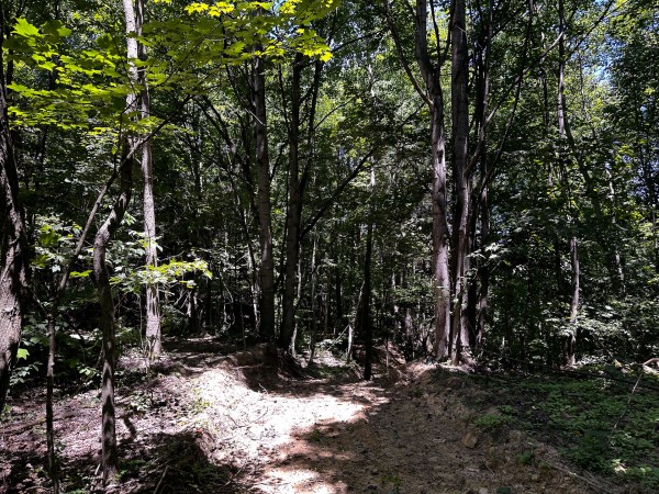Tract 10 at The Woods at Titus property photo