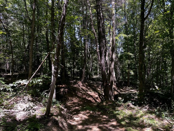 Tract 10 at The Woods at Titus property photo