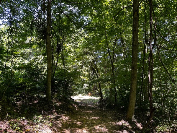 Tract 10 at The Woods at Titus property photo