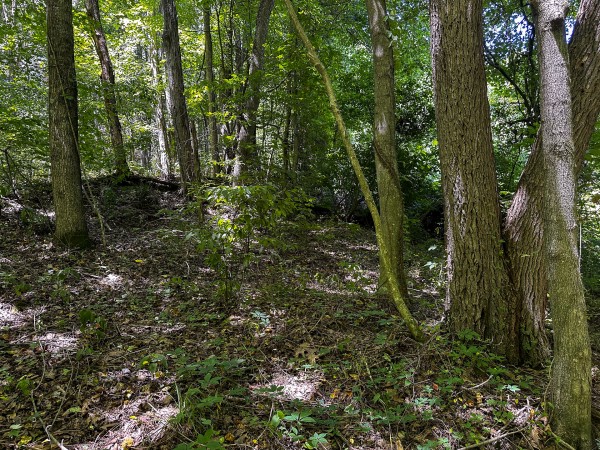 Tract 10 at The Woods at Titus property photo