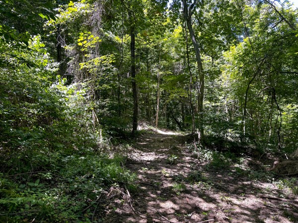 Tract 10 at The Woods at Titus property photo