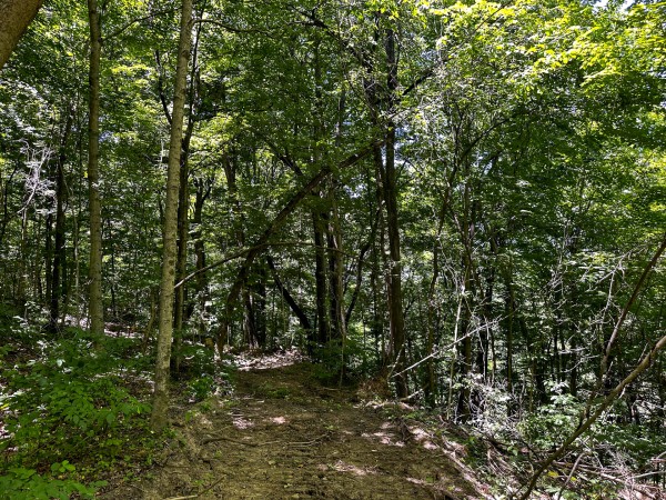 Tract 10 at The Woods at Titus property photo