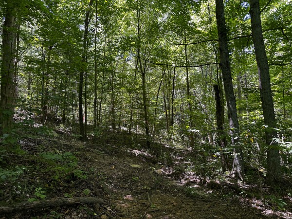 Tract 10 at The Woods at Titus property photo