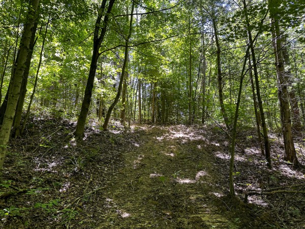 Tract 10 at The Woods at Titus property photo