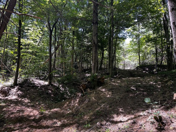 Tract 10 at The Woods at Titus property photo