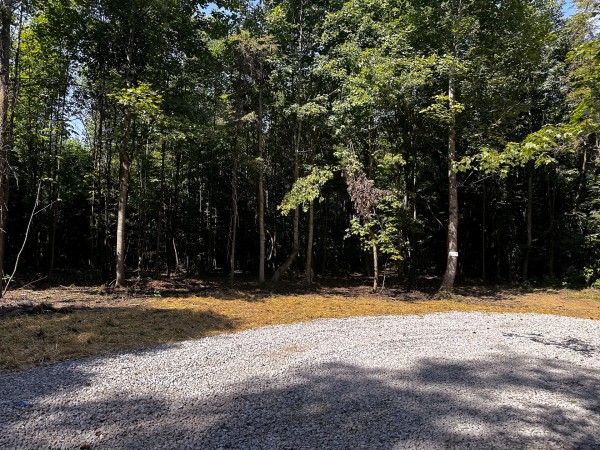 Tract 10 at The Woods at Titus property photo