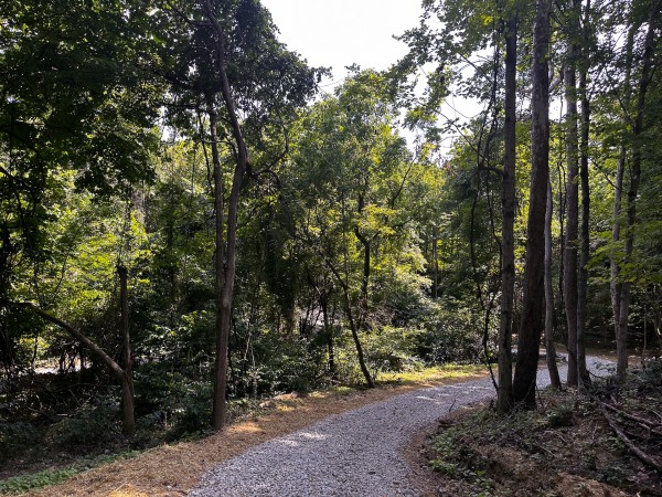 Tract 10 at The Woods at Titus property photo