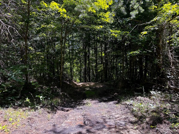 More of Tract 10 at The Woods at Titus