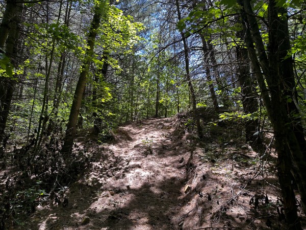 Tract 10 at The Woods at Titus property photo
