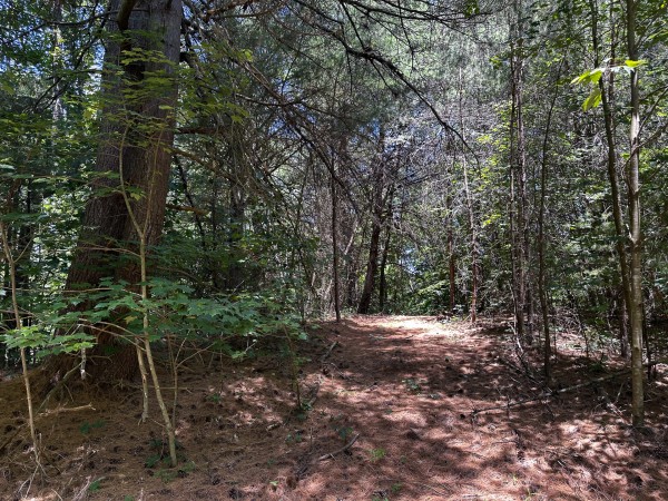 Tract 10 at The Woods at Titus property photo