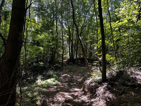 Tract 10 at The Woods at Titus property photo