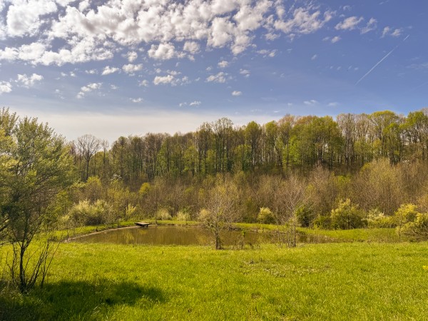 Tract 13 - Albany Woods property photo