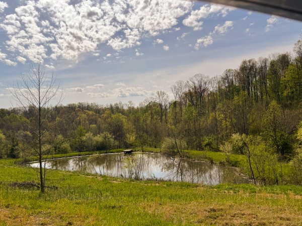 Tract 13 - Albany Woods property photo