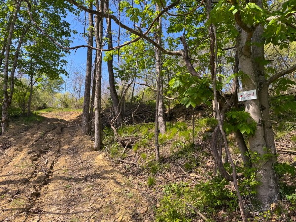Tract 13 - Albany Woods property photo