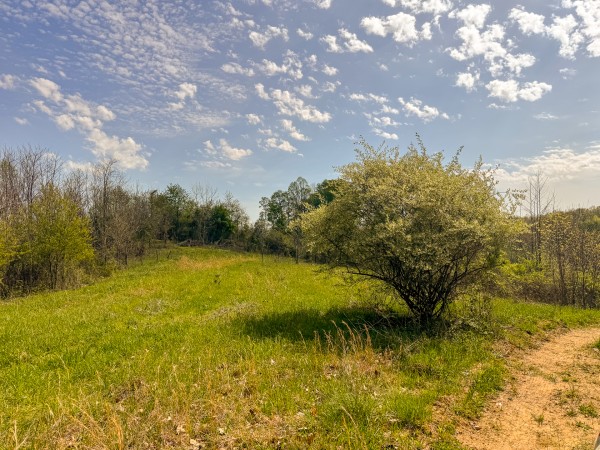 Tract 13 - Albany Woods property photo